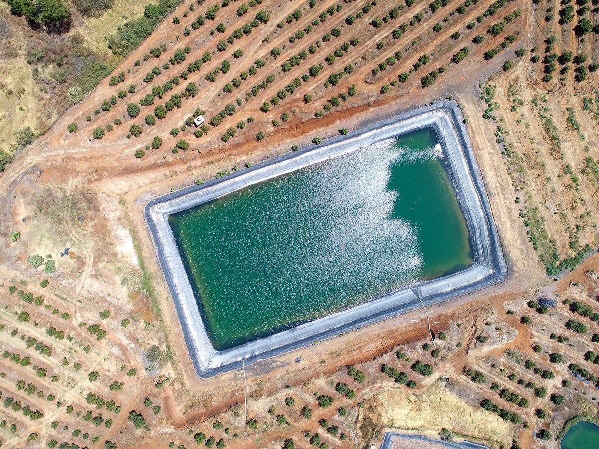 Olla de agua en huerta