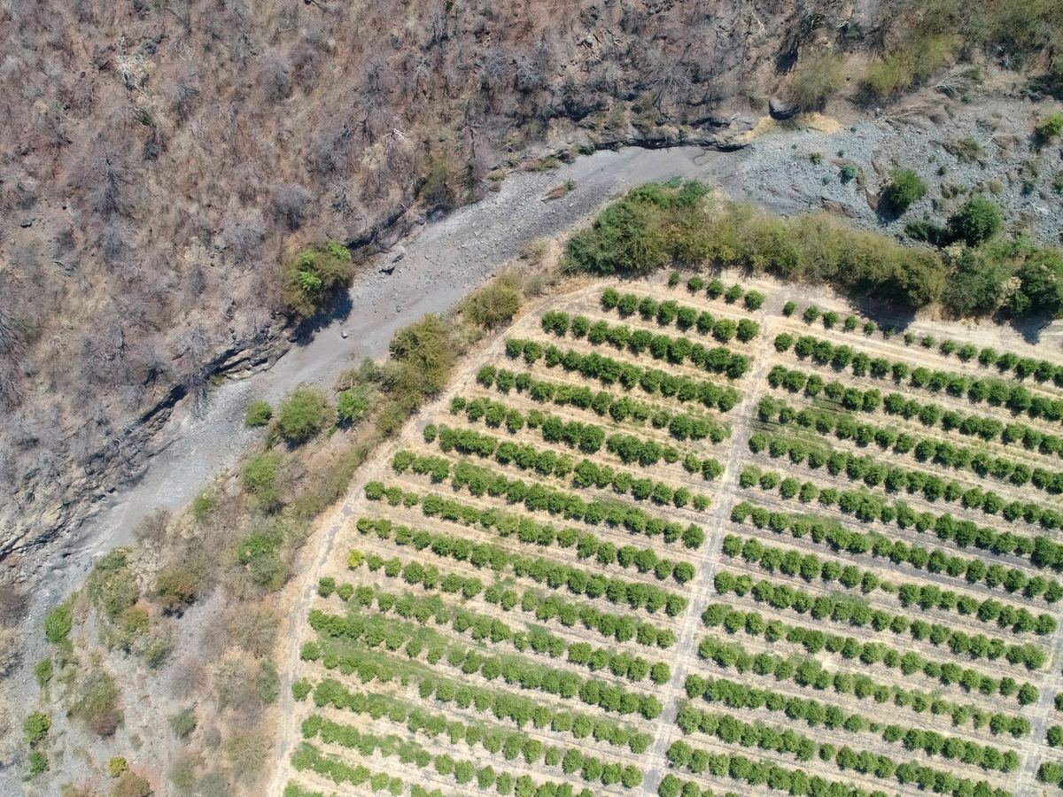 Huerta junto a río