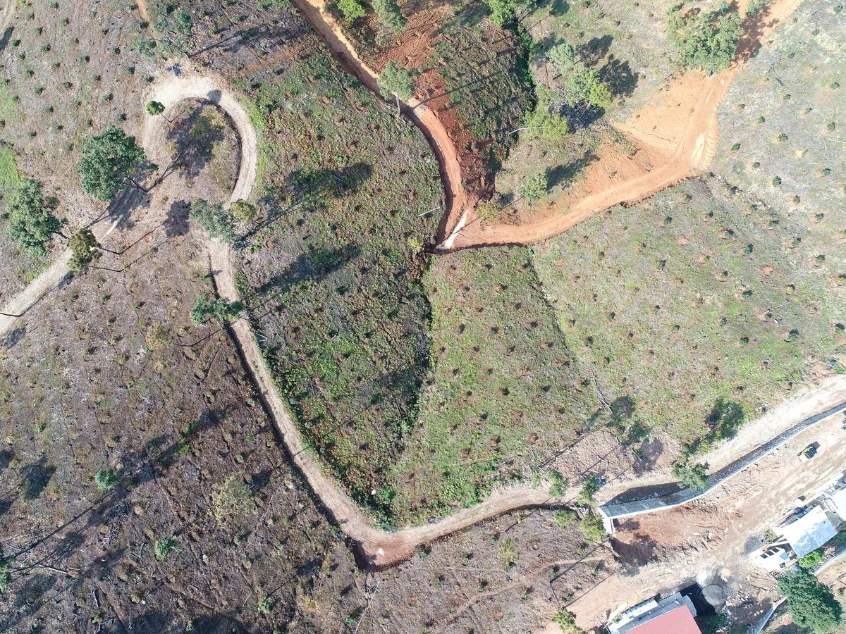 Caminos internos de huerta vista aérea
