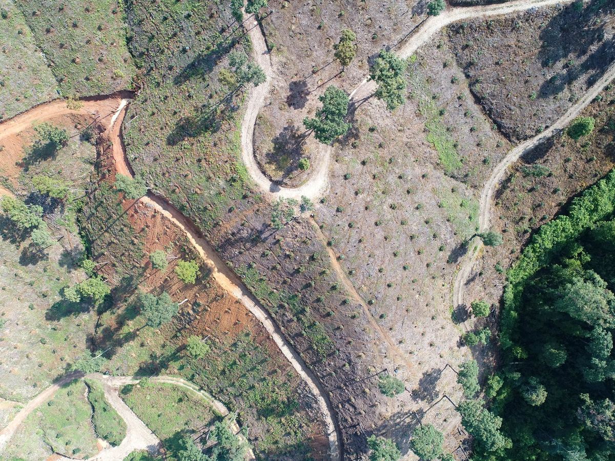 Caminos y trazo de huerta vista aérea